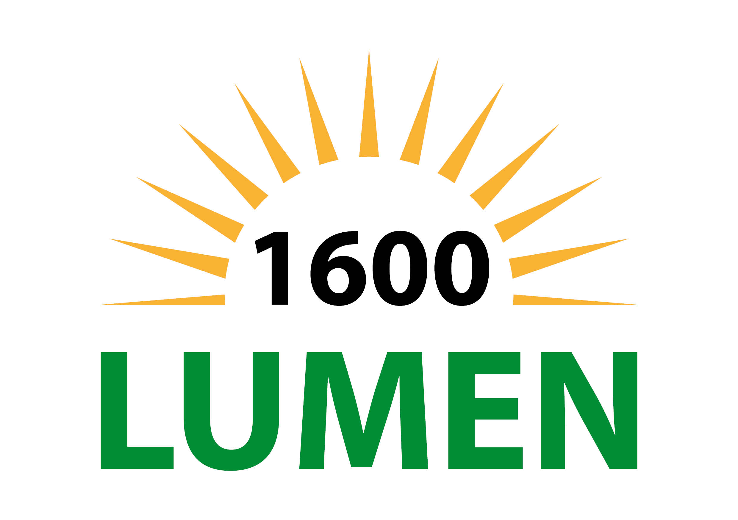 Lumen 1600 Symbol